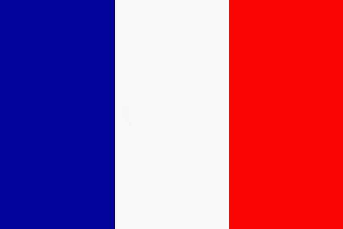 flag of france. The standard flag of France